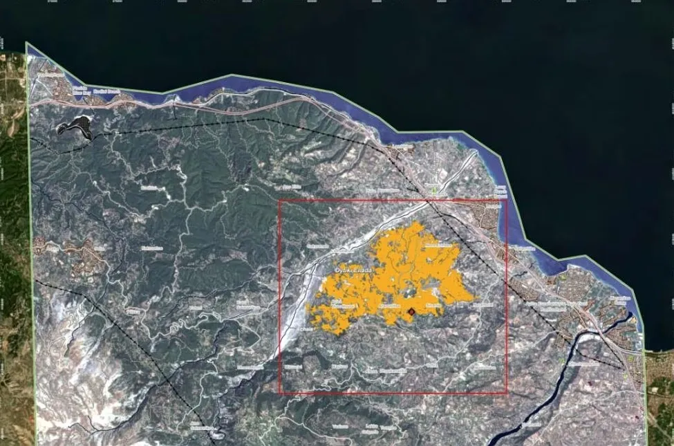 Καμένη έκταση από την πυρκαγιά στην Αιγιαλεία