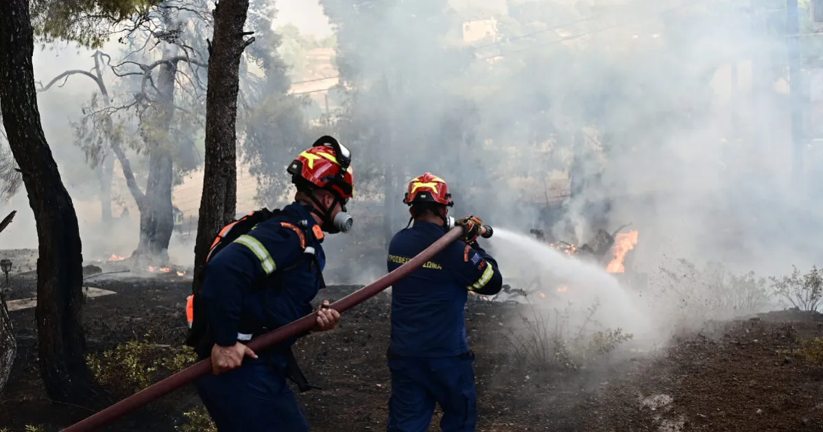 Πυροσβεστικά αεροσκάφη επιχειρούν σε δασική πυρκαγιά