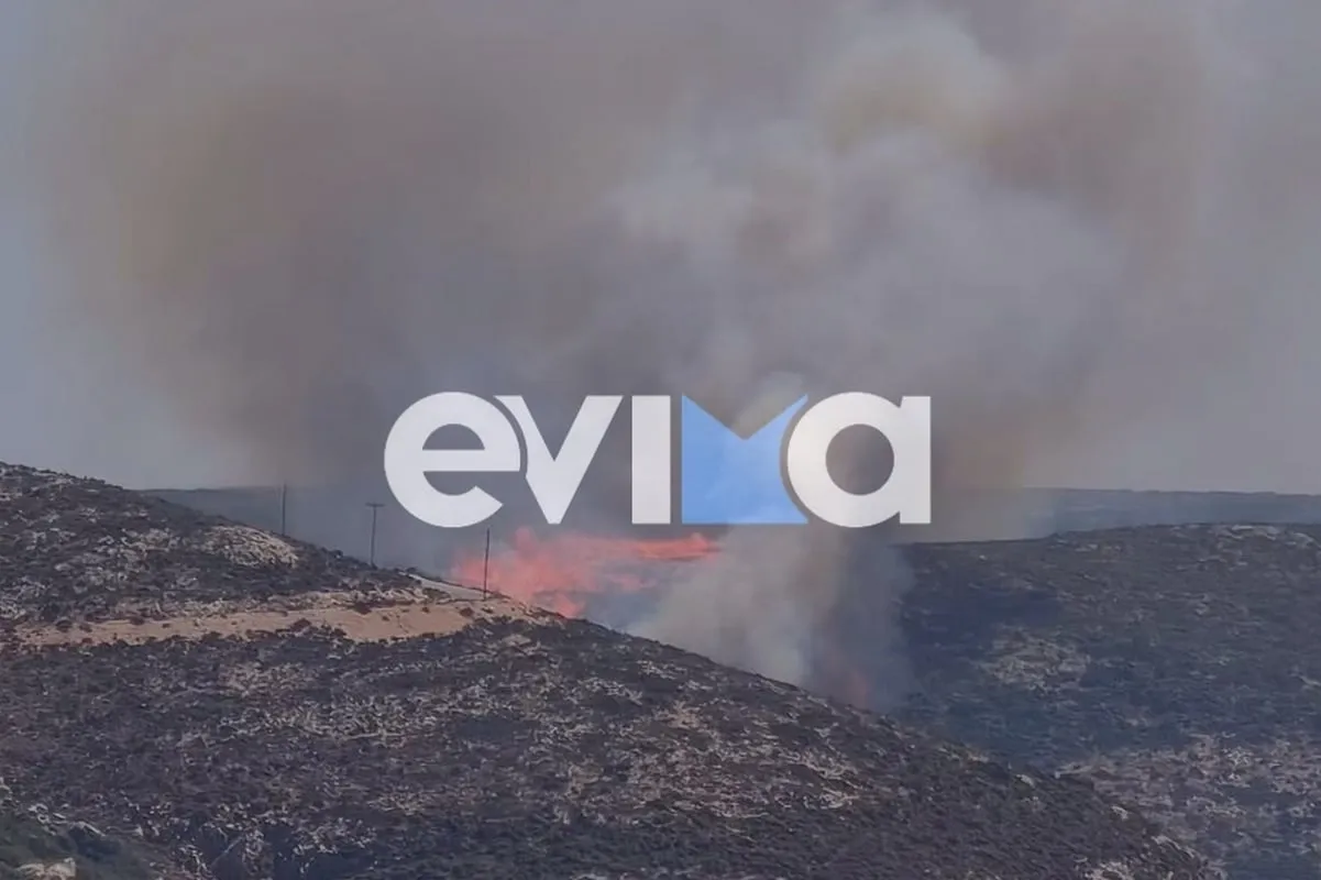 Πυροσβέστες επιχειρούν σε πυρκαγιά με αεροσκάφος