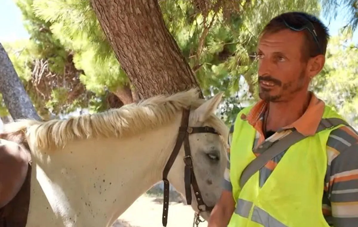 Αναβάτης πάνω σε άλογο σε δρόμο της Άνδρου