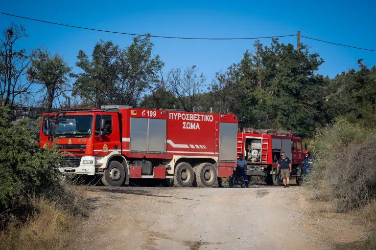 Δασική έκταση υπό υψηλό κίνδυνο πυρκαγιάς