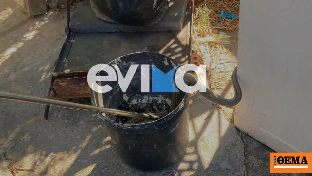 Λαφιάτης δύο μέτρων σε αποθήκη κατοικίας στην Εύβοια