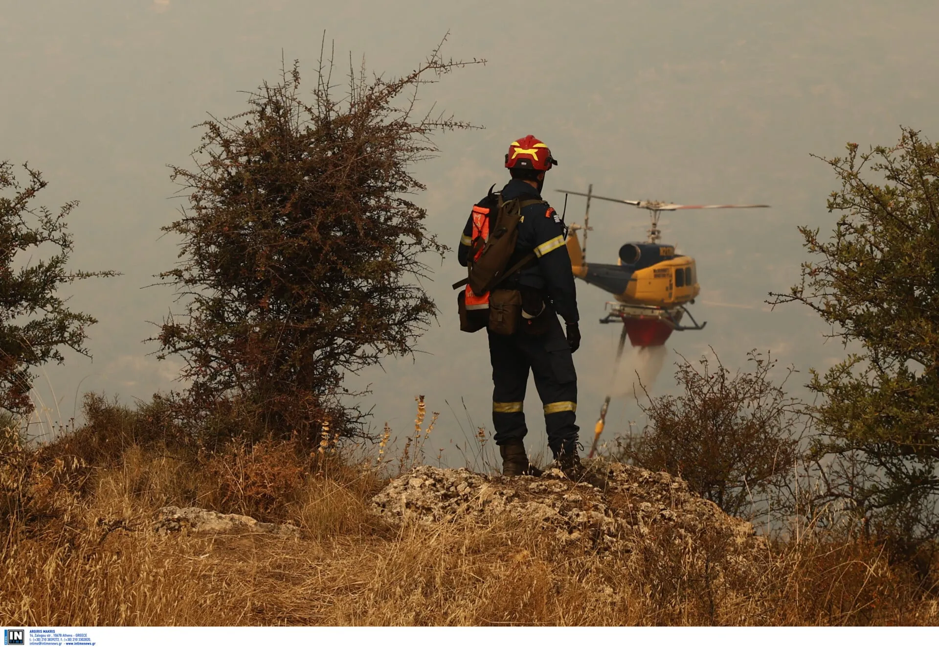 Πυροσβέστες επιχειρούν σε φωτιά σε δάσος