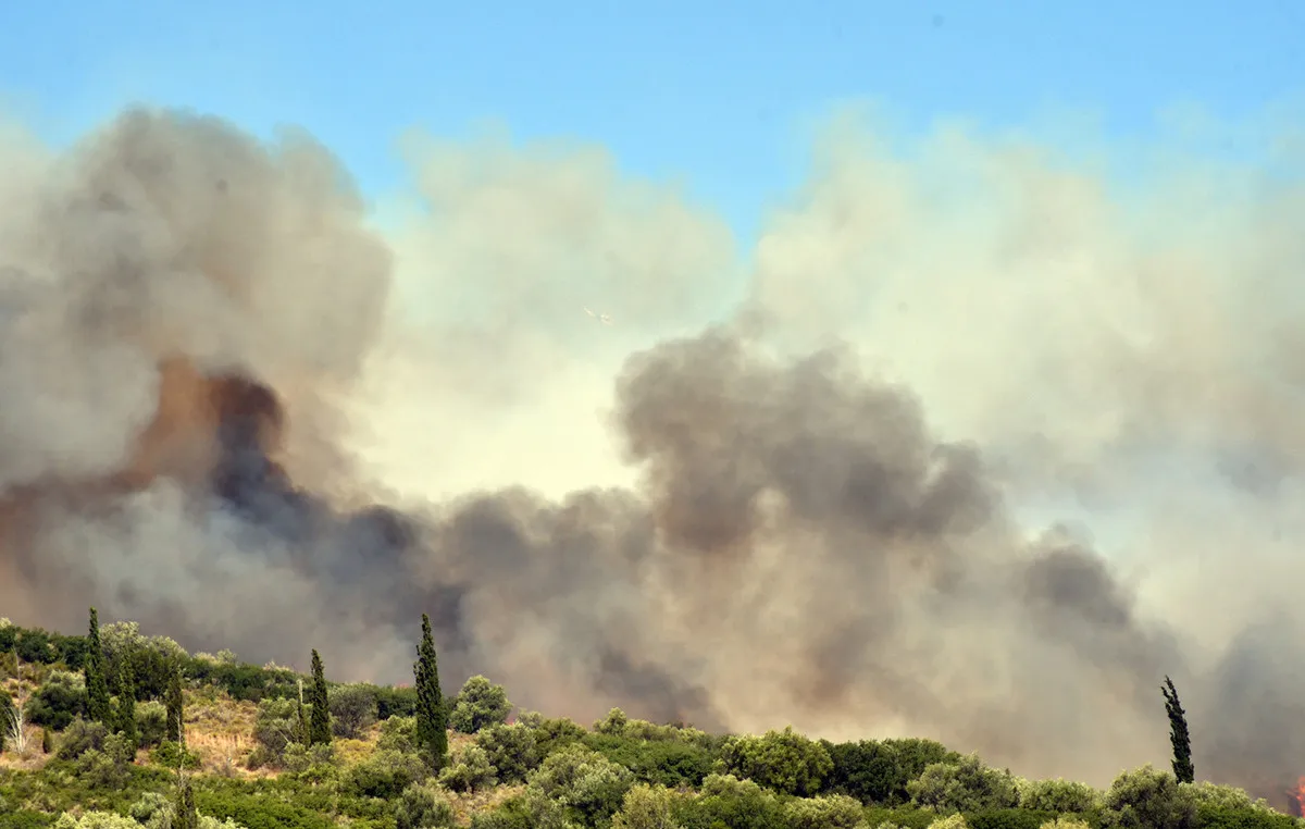 Πυροσβεστικά οχήματα επιχειρούν σε δασική πυρκαγιά