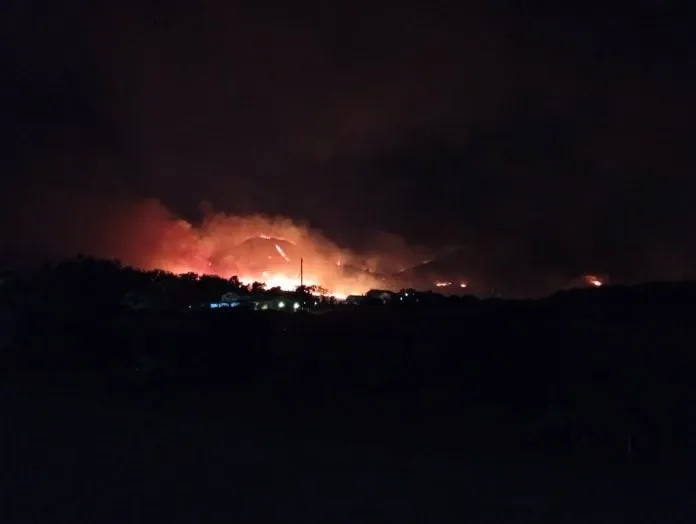 Πυροσβέστες επιχειρούν σε δασική πυρκαγιά στην Ελλάδα