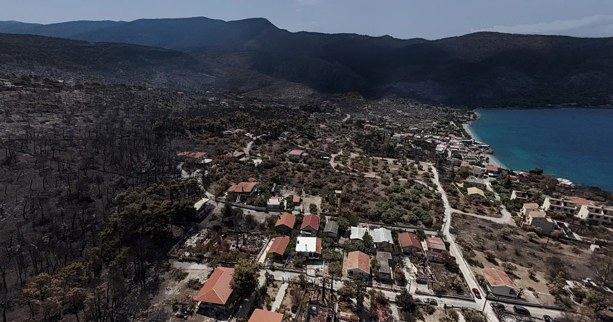 Καμένη δασική έκταση στη Δυτική Αττική