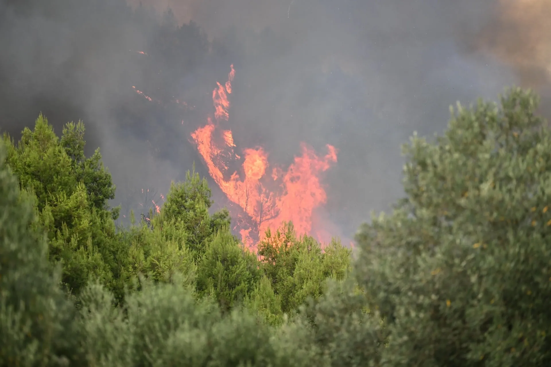 Δασική πυρκαγιά στην περιοχή Βίκι της Χίου