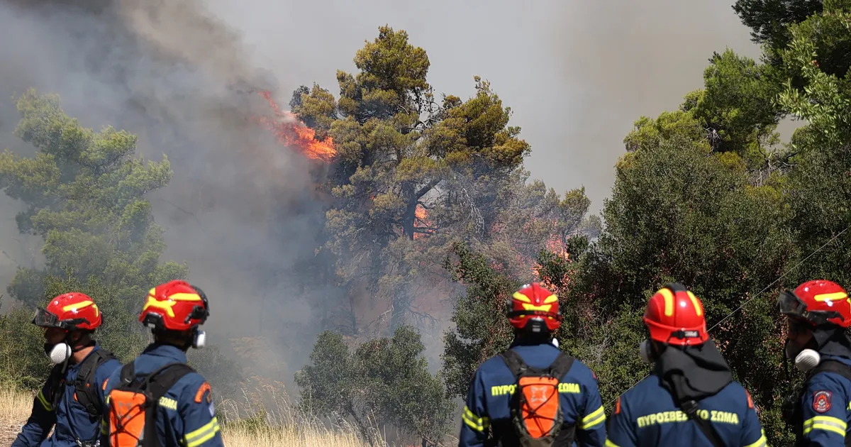Πυροσβεστικό αεροσκάφος ρίχνει νερό σε φωτιά σε δασική έκταση