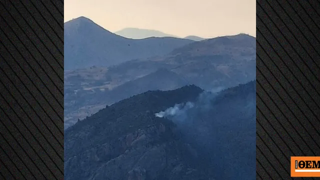 Πυροσβέστες κατασβήνουν φωτιά σε δασική έκταση