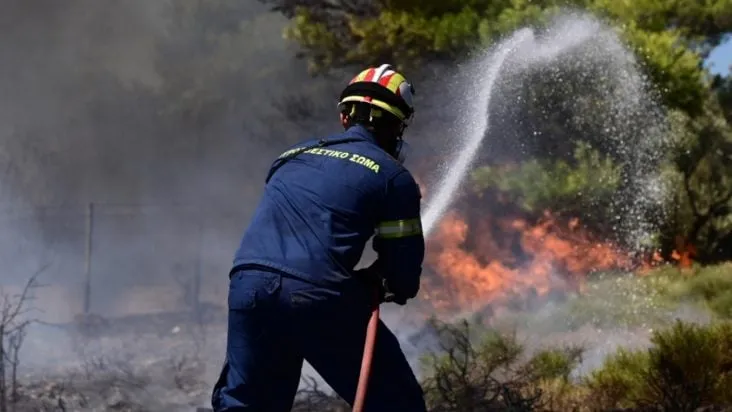 Πυροσβέστες επιχειρούν σε δασική πυρκαγιά στα Γρεβενά