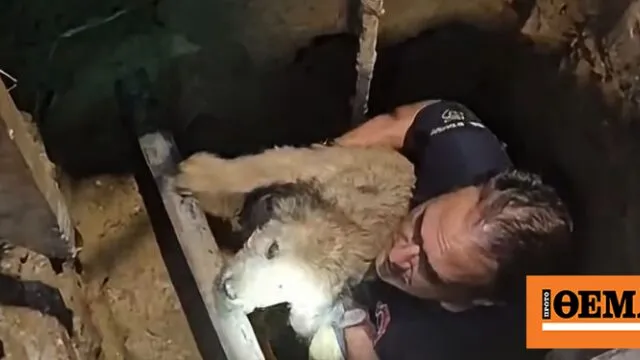 Πυροσβέστες διασώζουν σκύλο από τρύπα στη Θεσσαλονίκη
