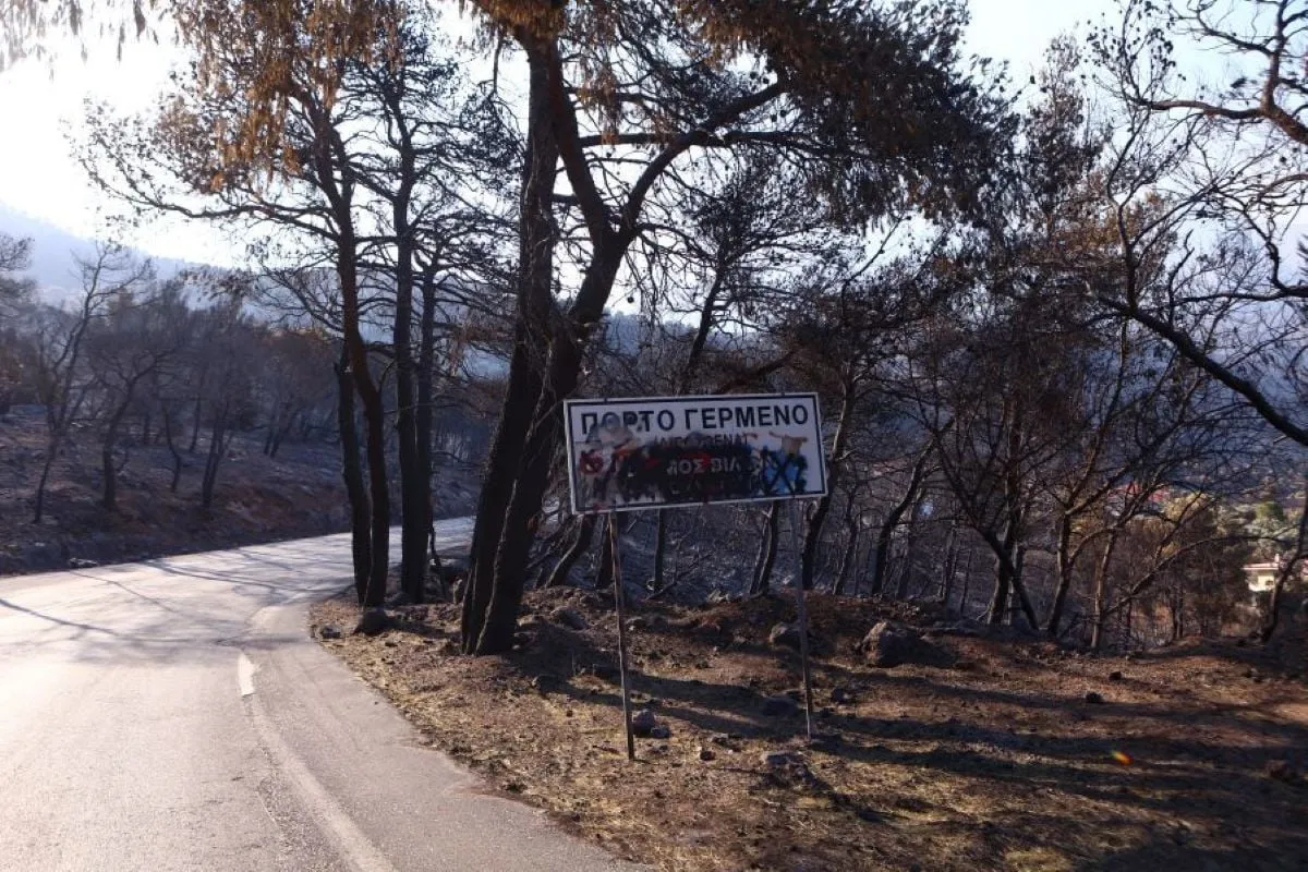 Καμένα σπίτια και δέντρα στο Πόρτο Γερμενό μετά την πυρκαγιά