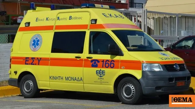 Τροχαίο ατύχημα με γουρούνα στη Μυρτιά Ηλείας