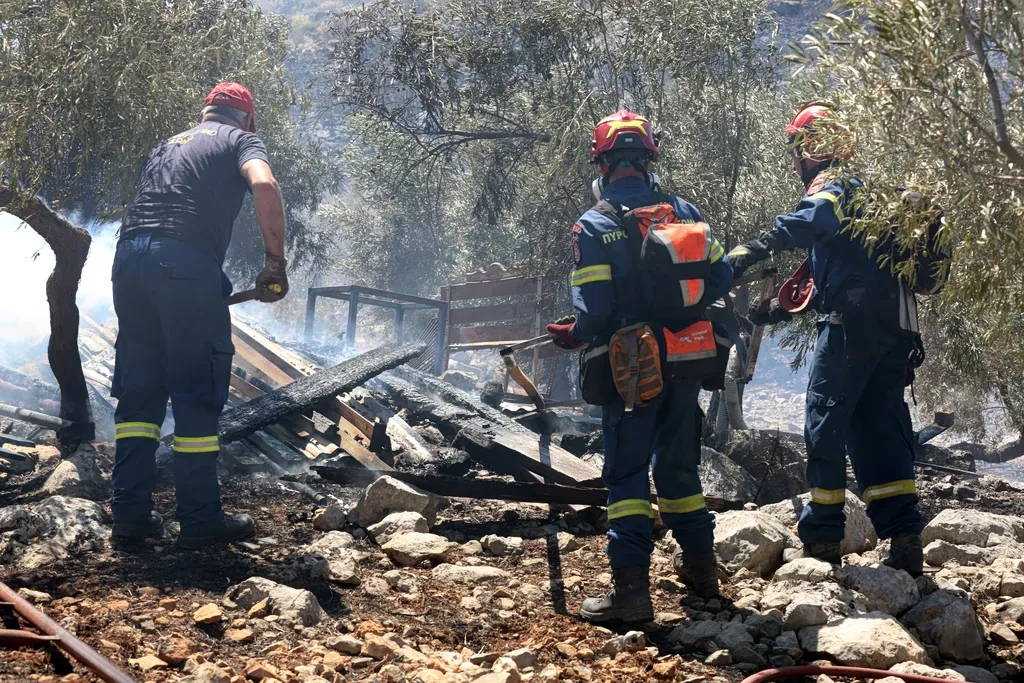 Πυροσβέστες κατασβήνουν φωτιά σε χαμηλή βλάστηση