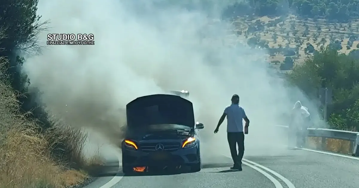 Πυροσβέστες επιχειρούν σε φωτιά στο Παραλίμνιο Σερρών