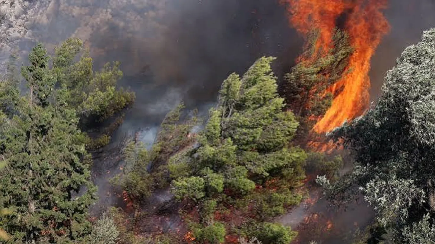 Πυροσβέστες επιχειρούν σε φωτιά στον Άσπρο Κιλκίς