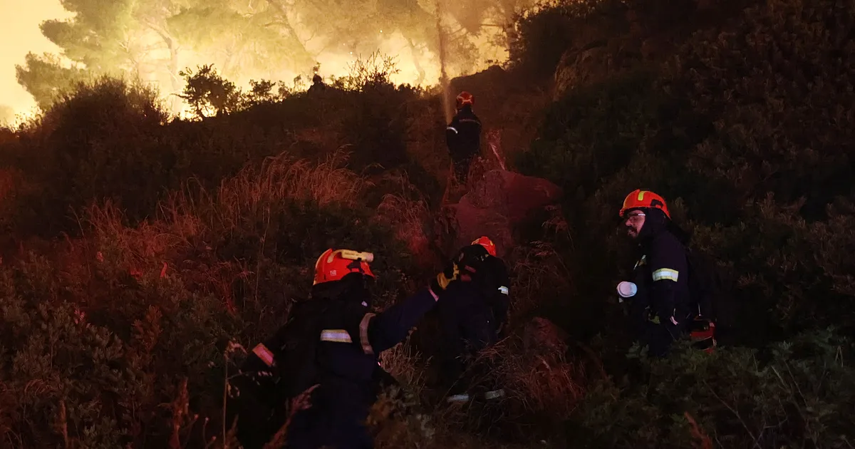 Πυροσβέστες επιχειρούν σε πυρκαγιά σε βλάστηση