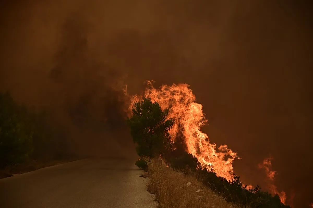 Πυκνός καπνός από τη φωτιά στη Βοιωτία
