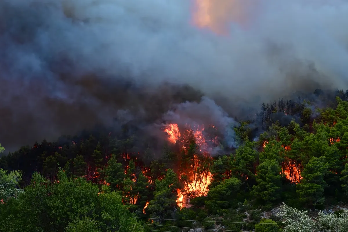 Πυροσβέστες επιχειρούν σε πυρκαγιά στη Βοιωτία
