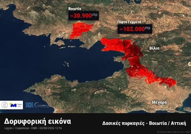 Καμένη έκταση από την πυρκαγιά στην Αττικοβοιωτία