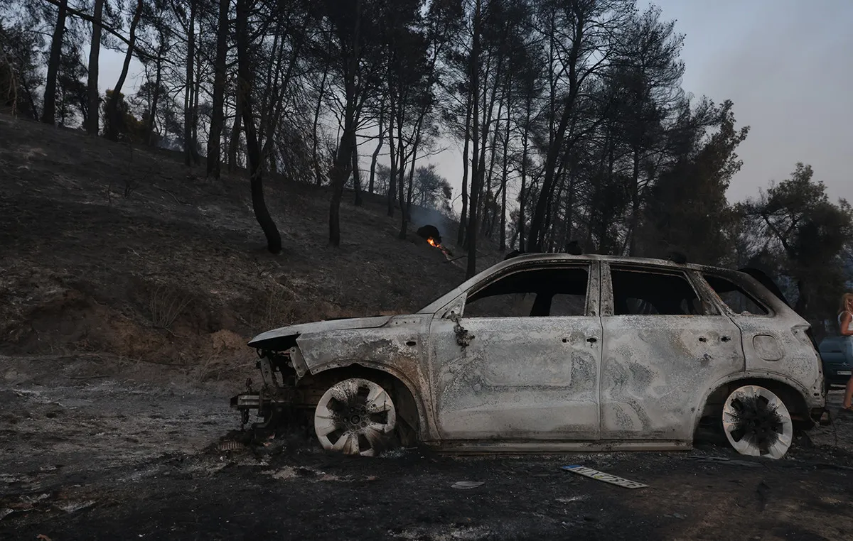 Πυρκαγιά στο δάσος χαλεπίου πεύκης της Σίβηρης στη Χαλκιδική