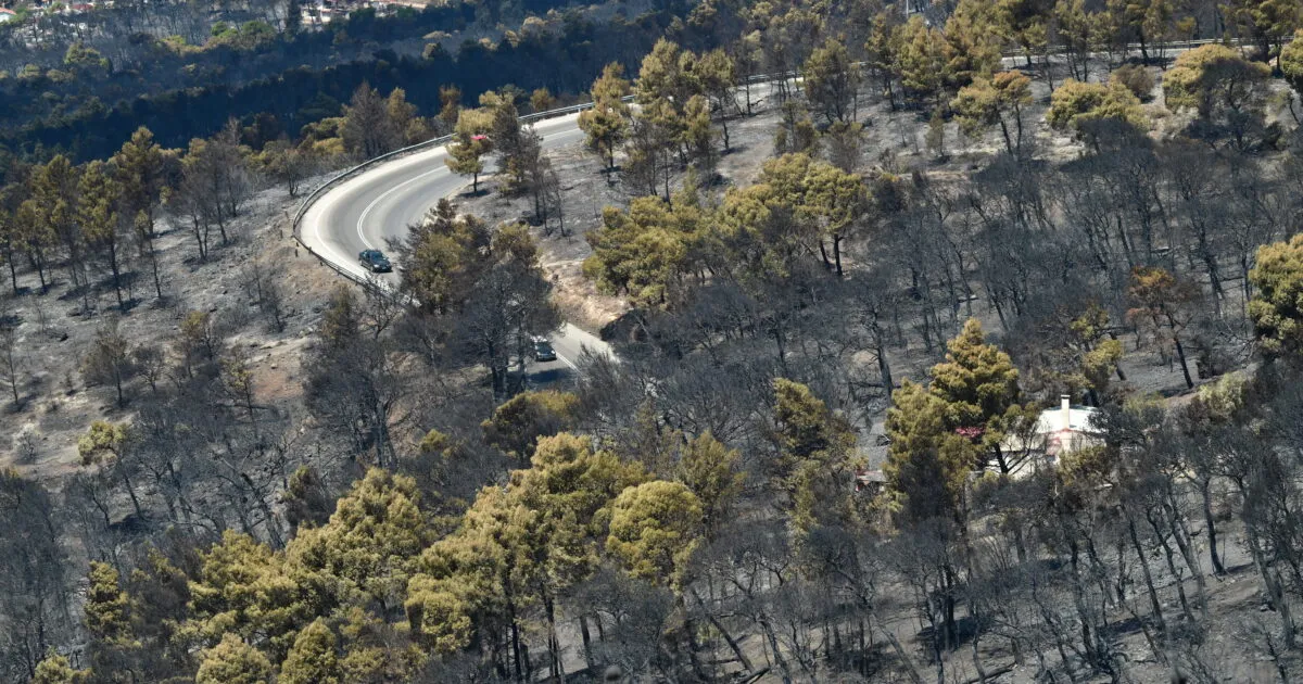 Καμένη έκταση και κατεστραμμένα σπίτια στη Δυτική Αττική