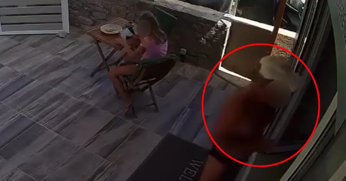 Κάμερα ασφαλείας γραφείου εκδρομών στην Αγία Πελαγία Κρήτης