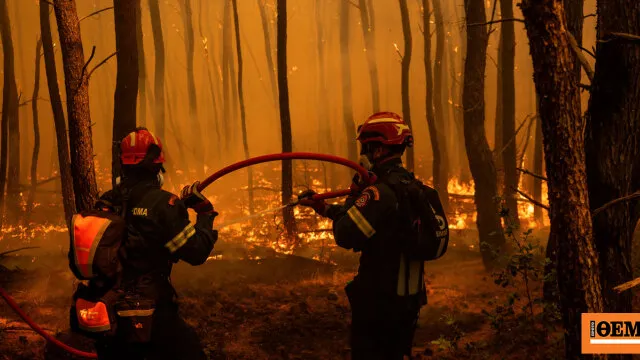 Πυροσβέστες επιχειρούν σε δασική πυρκαγιά στην Ελλάδα