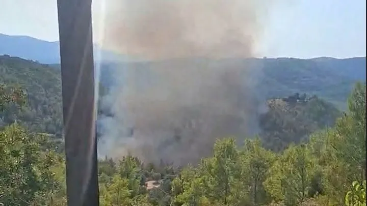Πυροσβεστικά οχήματα επιχειρούν σε δασική πυρκαγιά στο Μαρκόπουλο Ωρωπού