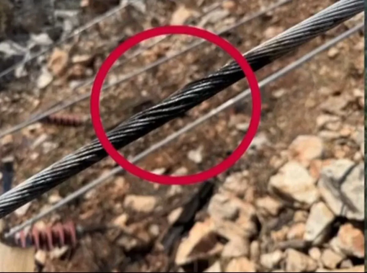 Καμένη έκταση από την πυρκαγιά στην Αττικοβοιωτία