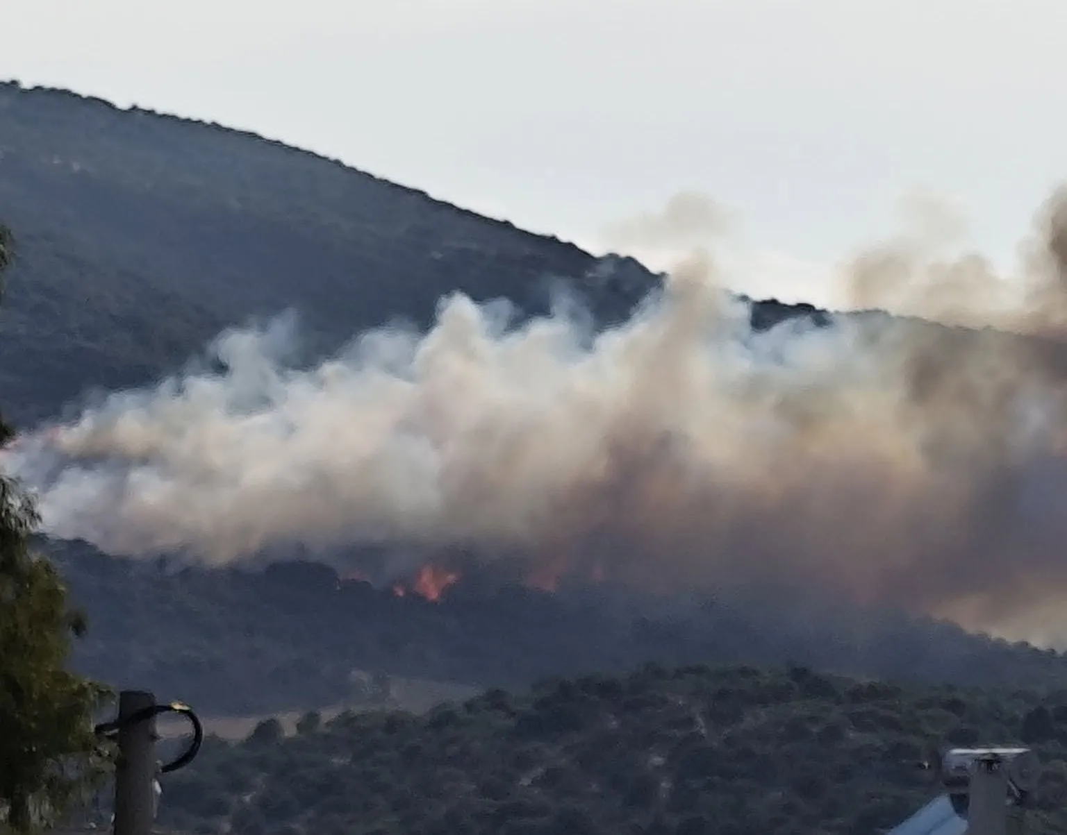Πυροσβεστικό ελικόπτερο επιχειρεί σε πυρκαγιά στον Βόλο