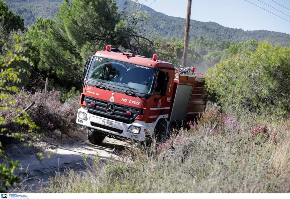 Πυροσβέστες κατασβήνουν φωτιά σε αγροτοδασική έκταση στις Σέρρες