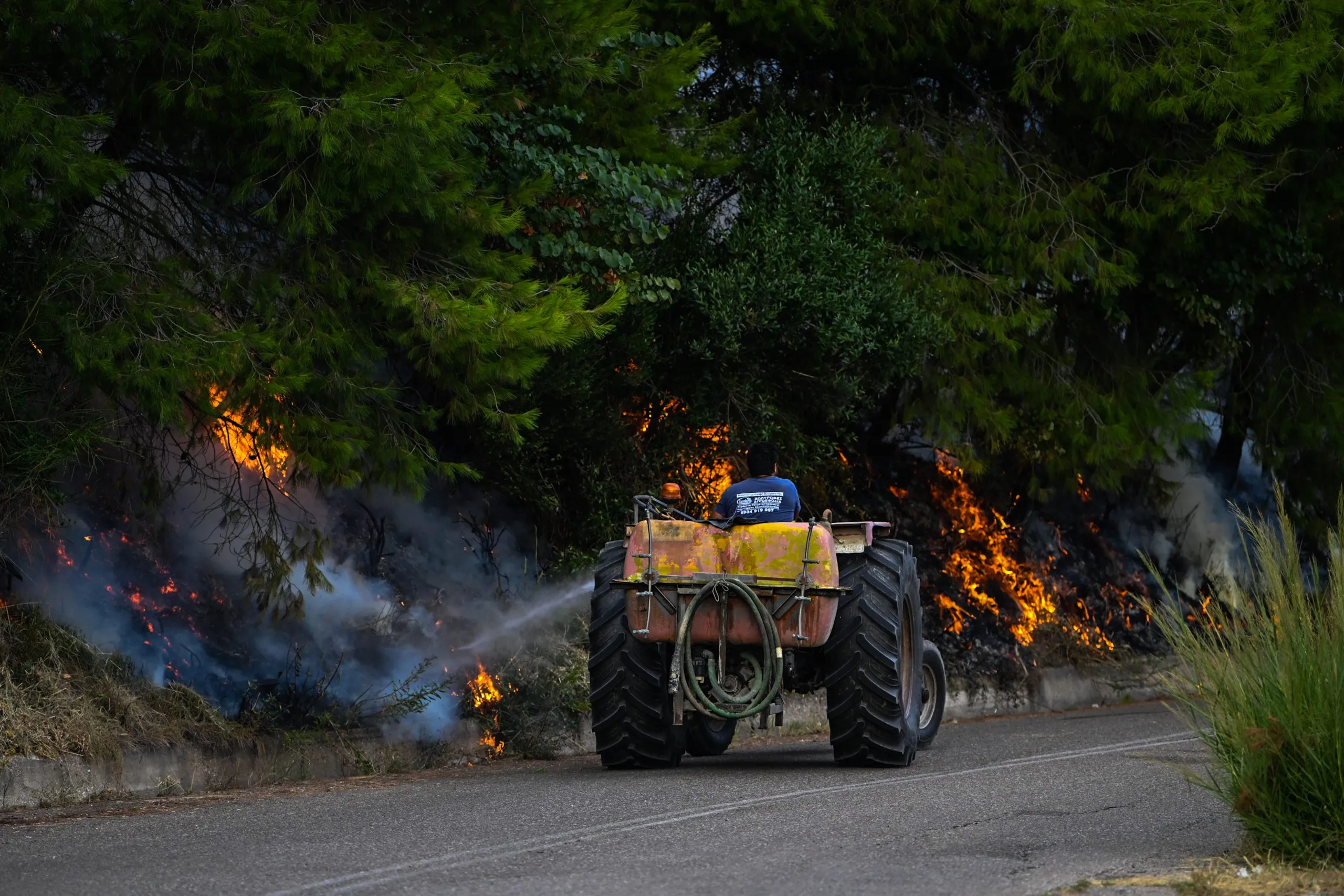 Πυροσβέστες κατασβήνουν δασική πυρκαγιά στο Μουζάκι Ηλείας