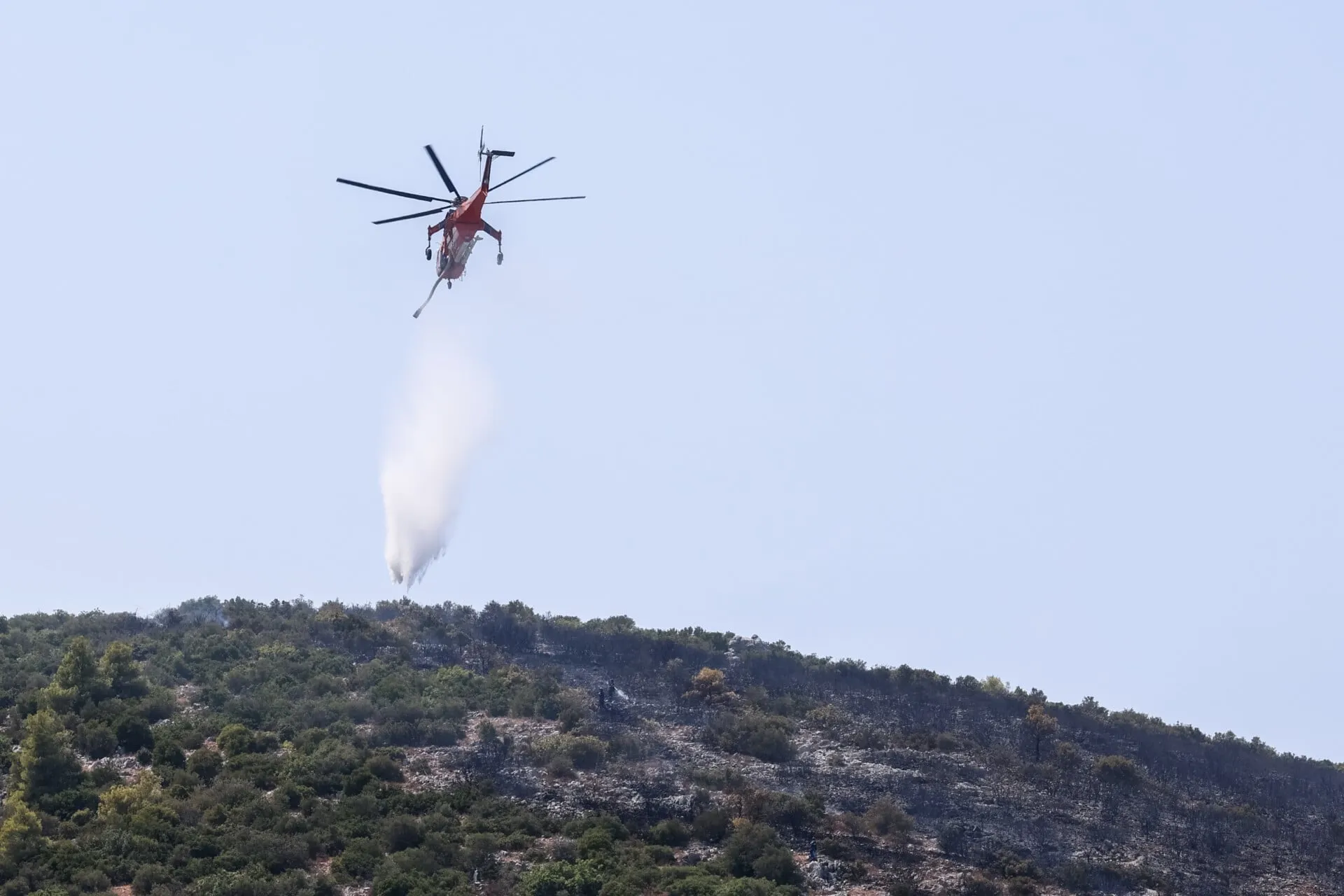 Πυροσβέστες επιχειρούν σε δασική πυρκαγιά