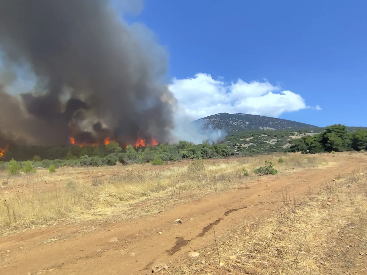 Πυρκαγιά και πυροσβέστες στην Κεφαλονιά τη νύχτα