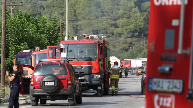 Πυροσβέστες επιχειρούν στη φωτιά στη Σίβηρη Χαλκιδικής