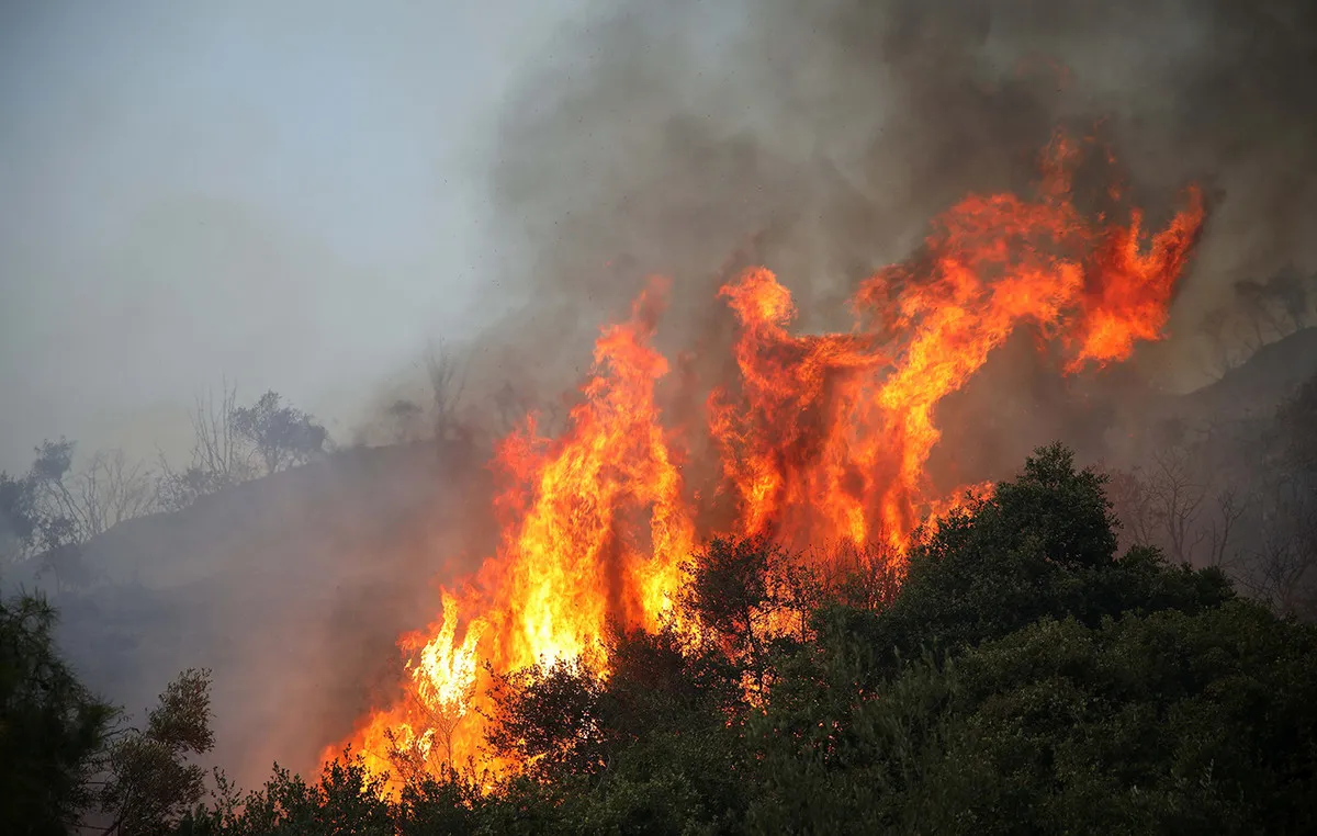 Πυροσβεστικά οχήματα επιχειρούν σε δασική φωτιά τη νύχτα