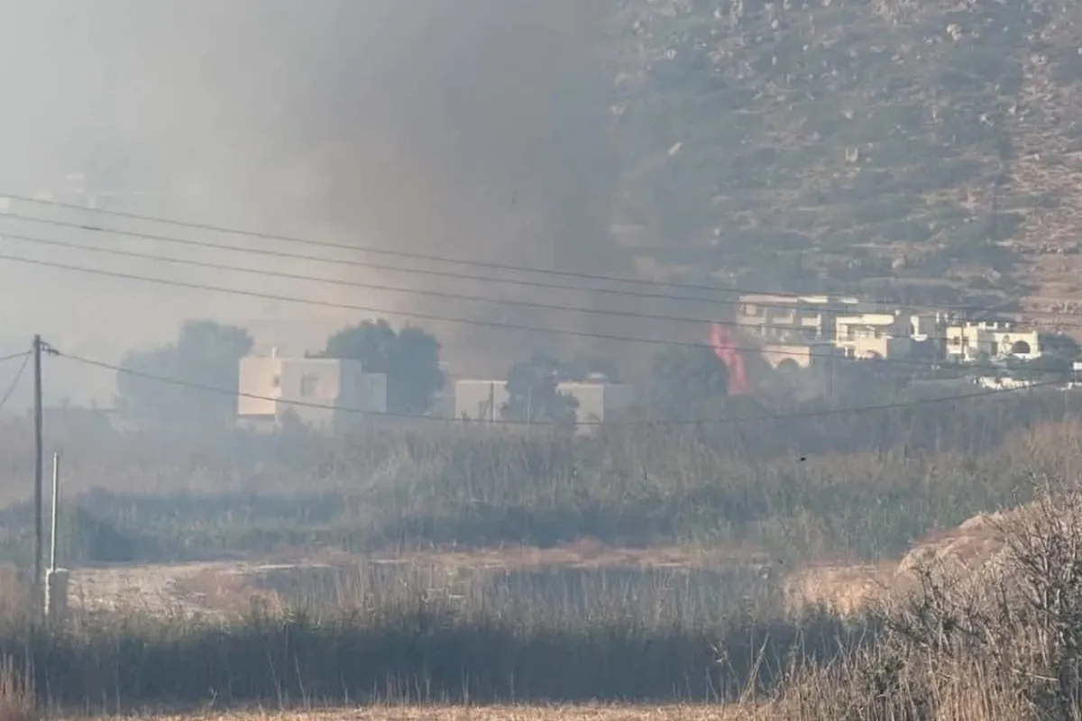 Πυροσβέστες επιχειρούν σε φωτιά στη Μικρή Βίγλα Νάξου