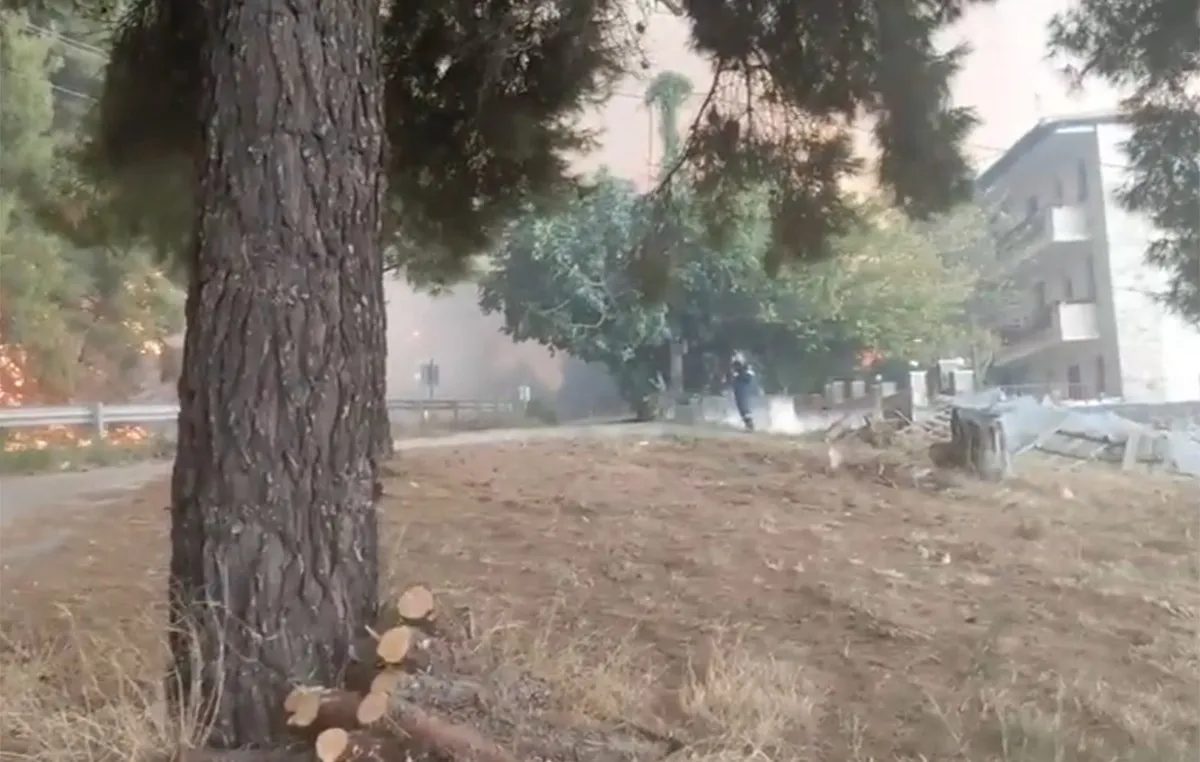 πυρκαγιά στη Χαλκιδική με φλόγες και καπνό