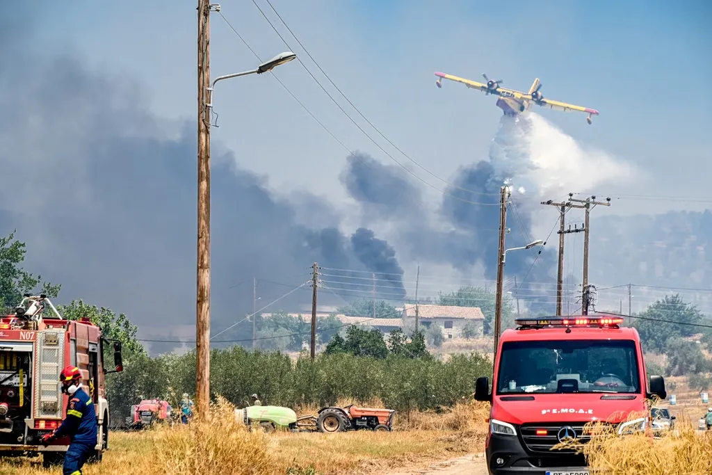 Πυροσβέστες επιχειρούν σε δασική πυρκαγιά υπό ισχυρούς ανέμους