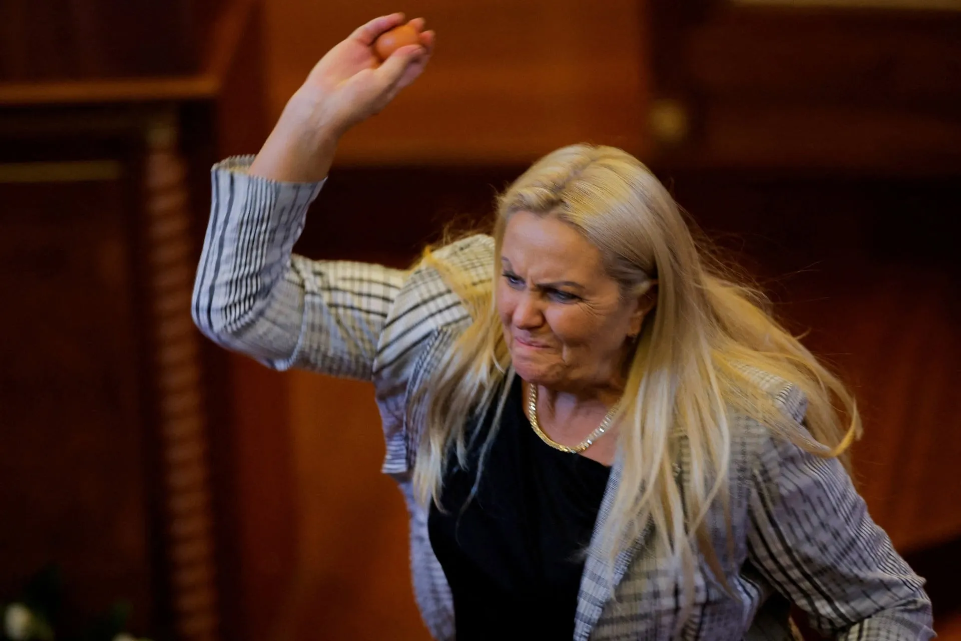 Ένταση στο κοινοβούλιο του Κοσόβου με αυγά