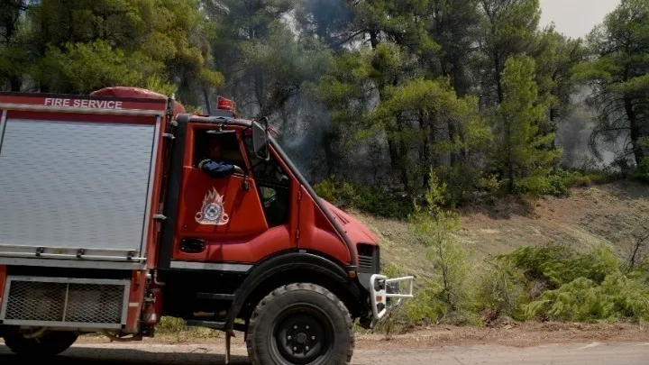Πυροσβέστες επιχειρούν σε δασική πυρκαγιά υπό ισχυρούς ανέμους