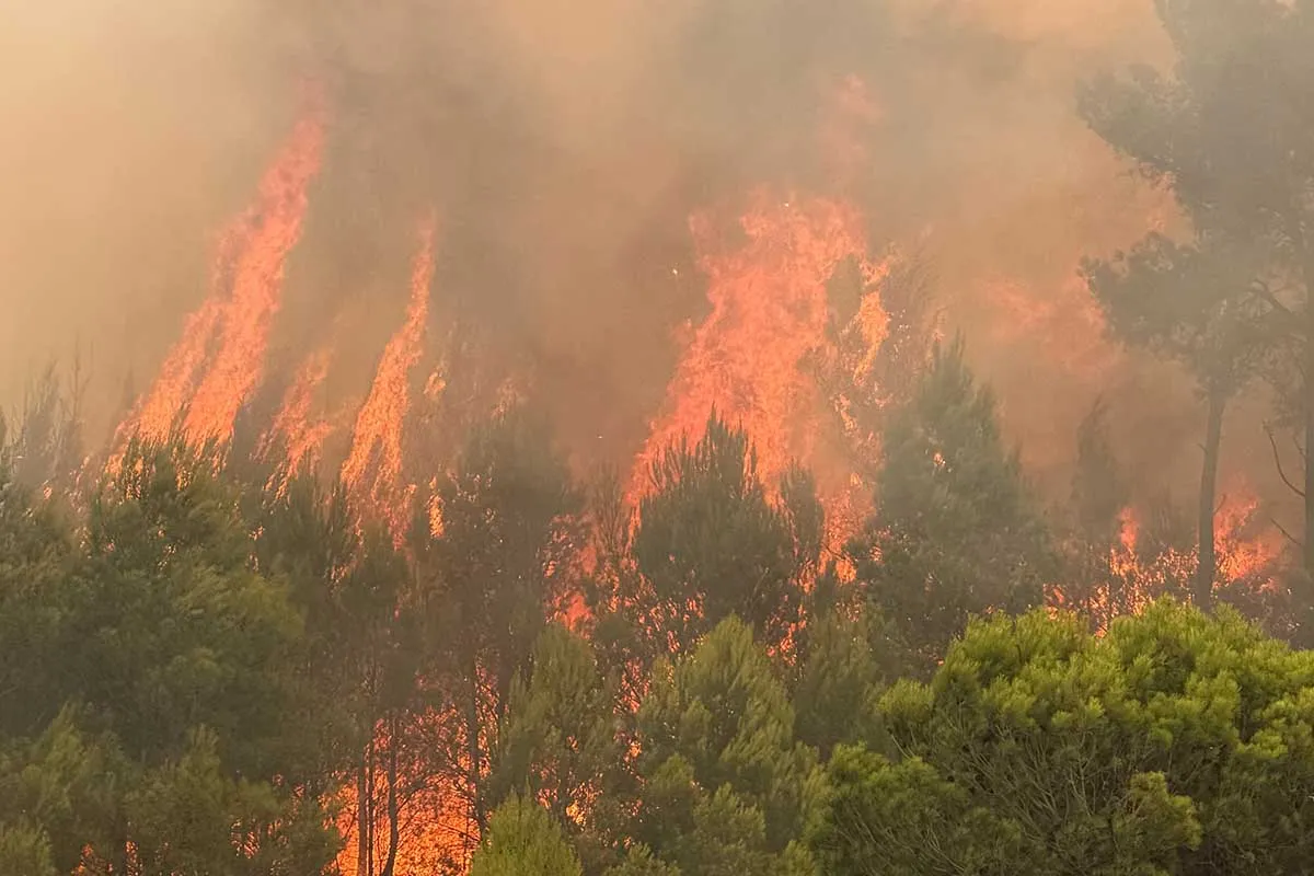 Πυρκαγιά και εκκένωση κατοίκων στη Γκάτοβα Βαλένθιας