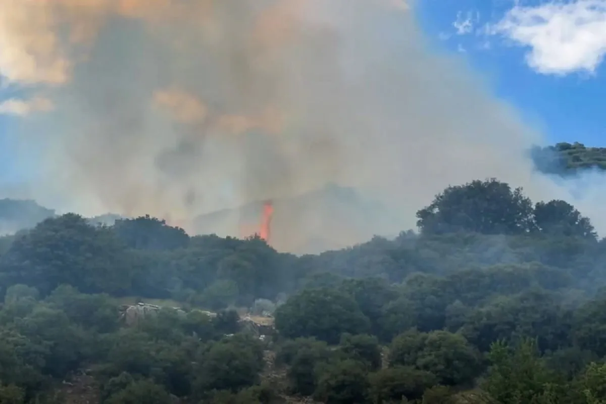 Πυροσβεστικά αεροσκάφη ρίχνουν νερό σε δασική πυρκαγιά στη Λαμπεία Ηλείας