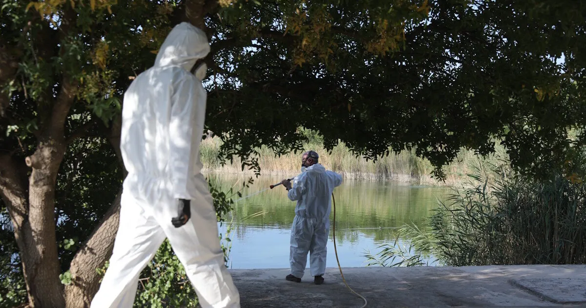 Κουνούπι Δυτικού Νείλου και ψεκασμός σε πάρκο