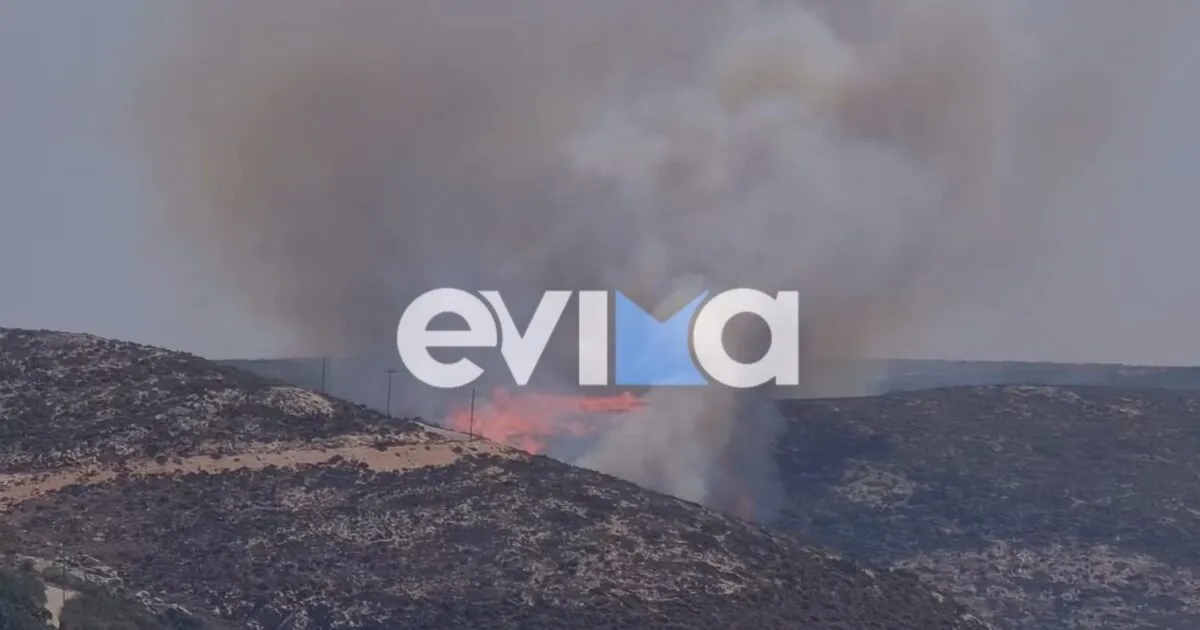 Πυροσβέστες επιχειρούν σε πυρκαγιά με αεροσκάφος