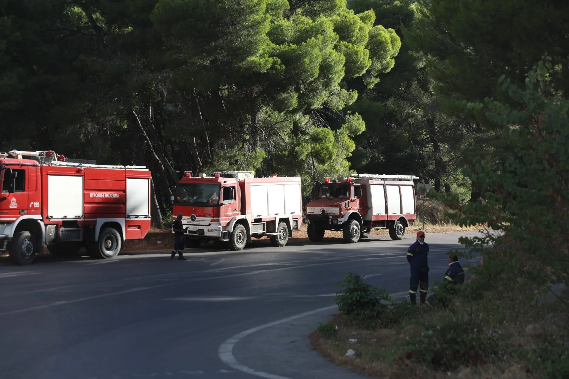 Πυροσβέστες επιχειρούν σε πυρκαγιά στη Βοιωτία