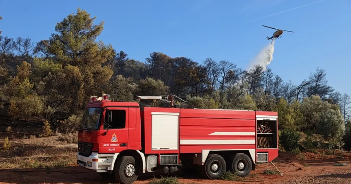 Πυροσβέστες επιχειρούν σε φωτιά στη Μικρή Βίγλα Νάξου