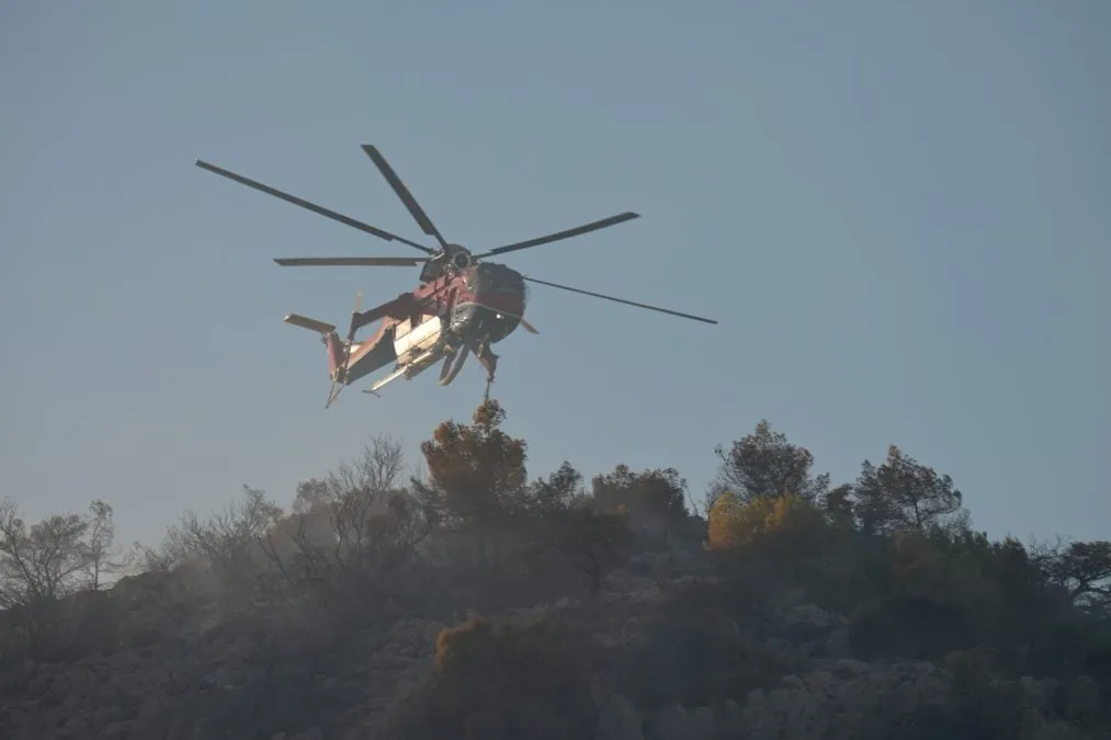 Πυροσβέστες σβήνουν φωτιά σε χαμηλή βλάστηση στη Σαλαμίνα