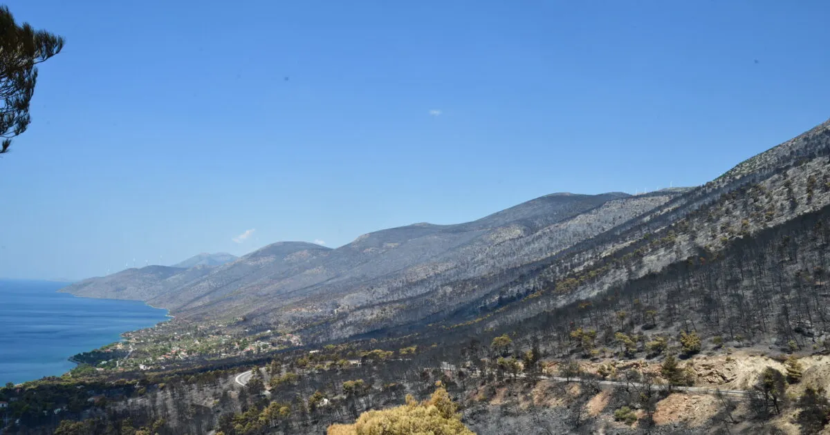 Καμένη έκταση στο Πόρτο Γερμενό μετά την πυρκαγιά